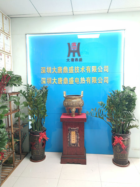 China Shenzhen Datang Dingsheng Technology Co., Ltd. 